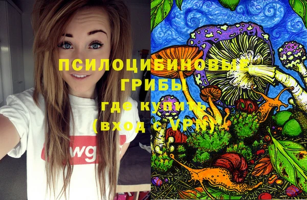 бутират Алексин