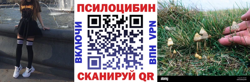 Псилоцибиновые грибы GOLDEN TEACHER  Бабаево 