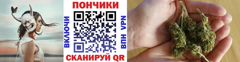 закладки  Бабаево  Бошки марихуана конопля 